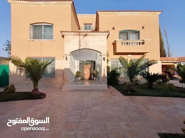 More than 6 bedrooms Farms for Sale in Amman Airport Road - Madaba Bridge