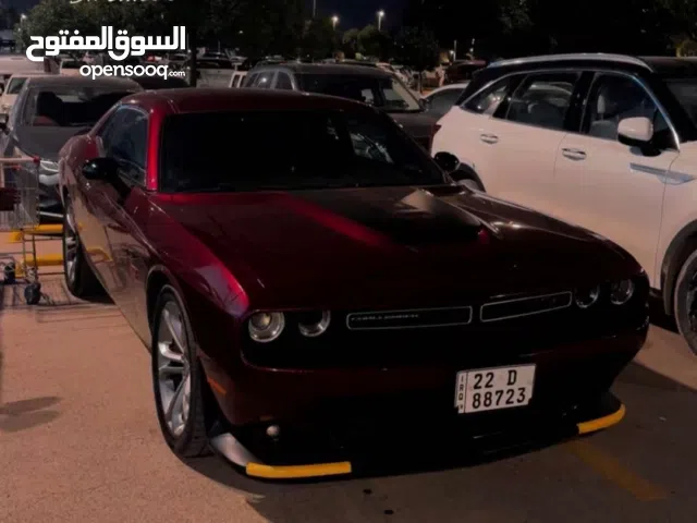 Used Dodge Challenger in Erbil