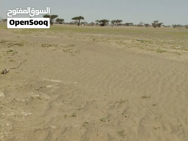 ارض للبيع في المصنعة