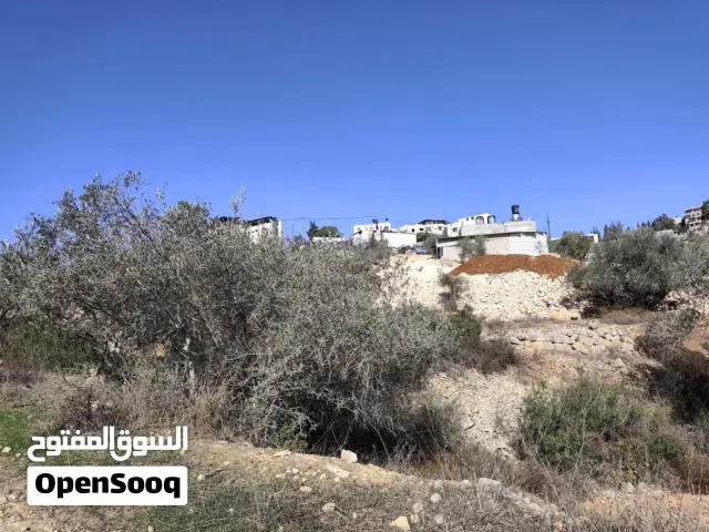 Residential Land for Sale in Ramallah and Al-Bireh Birzeit