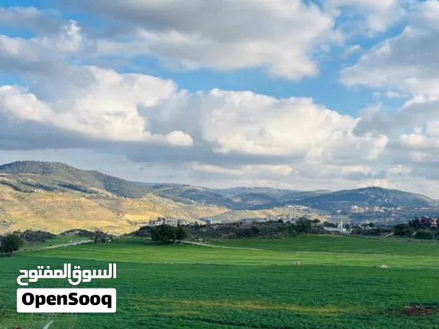 Farm Land for Sale in Jerash Al-Kittah