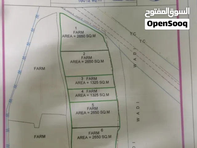 عاجل ارض زراعيه للبيع في قريات المساحه مذكوره ع الكروكي فيها بئر ماء عذب فيها من اجود اشجار اللمبا