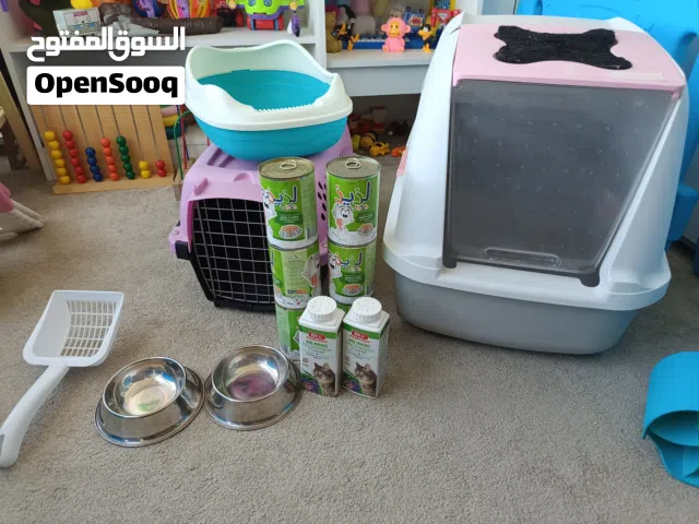 اغراض قطط كامله