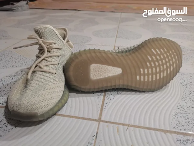 42 Sport Shoes in Basra