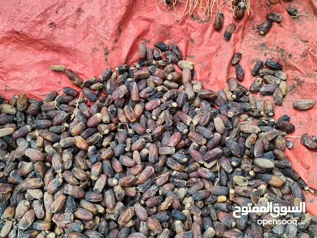 تمر نغال مال جداد السنه تمر نظيف مافي قشره واجد