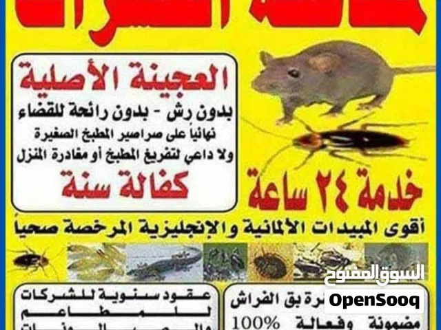 شركة رش حشرات وقوارض ارخص الاسعار كفاله سنه مواد امنه صحيا
