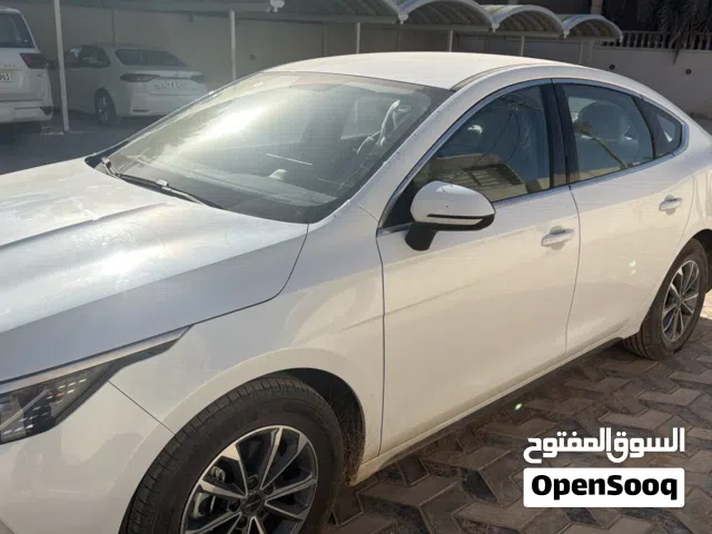 2025 رقم اربيل