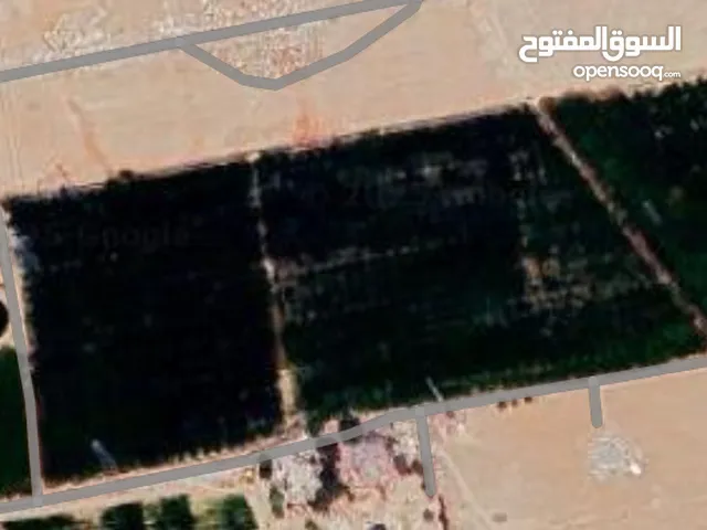 land for sale in alJeezaeh ( Property 41230 )-174516068