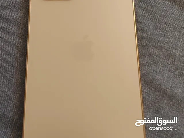 Apple iPhone 12 Pro 256 GB in Muscat