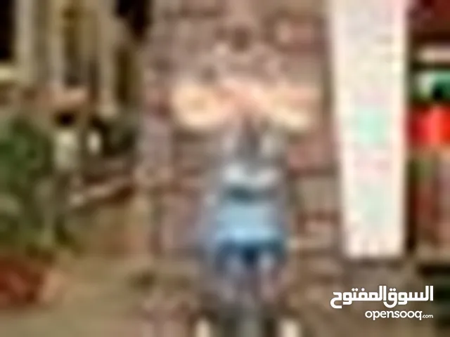 محمد برغال
