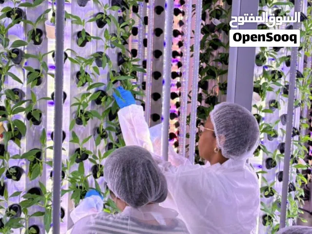 خبير دولي واستشاري في الزراعة المائية – عروض خدمات احترافية