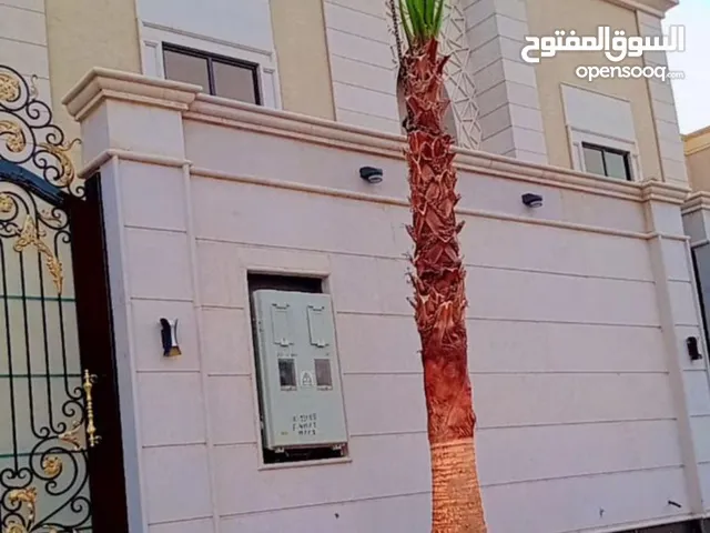نخل واشنطني ابو مروحه امريكي