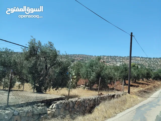 3500 م حوض السناد مزروعة كامل وخدمات قبل المعسكر