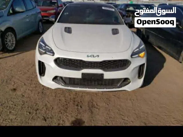 ستنكر للبيع رقم بغداد موديل 2022gt1 السياره جديد بل كارتون صور الحادث والسونار بالصور