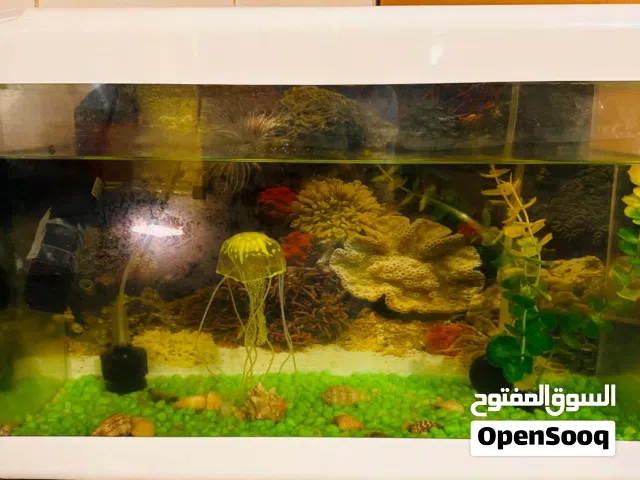 حوض اسماك شبه جديد مقاس 50*20 كامل بجميع ملحقاته سعر البيع 200 مكان طرابلس