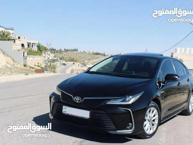 تويوتا كورولا 2019 للبيع