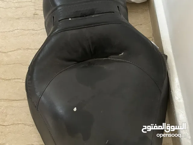 شناتي هارلي مع كرسي