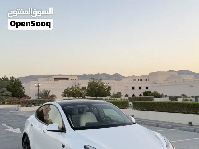 تيسلا موديل 2023 بدون حادث في قمت نظافة