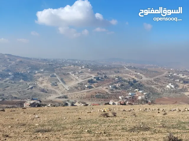 Farm Land for Sale in Zarqa Al-Kamsha
