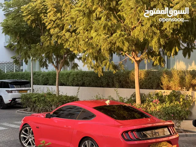 Used Ford Mustang in Muscat