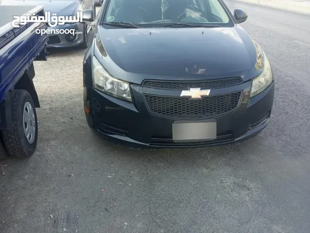 شفر كروز نظيف 2011