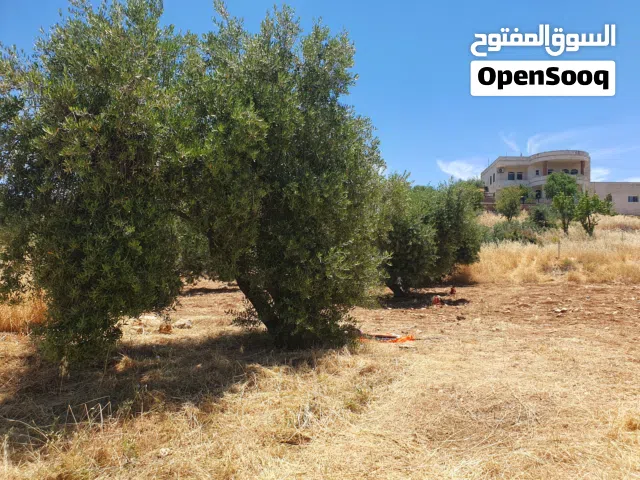 ارض للبيع/من المالك مباشرة/ بدر الجديدة/ حوض الميسر/على ثلاث شوارع منبسطة  مساحتها 570م جميلة جدا.