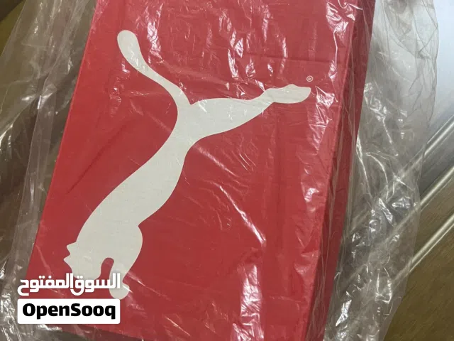 حذاء رياضي puma