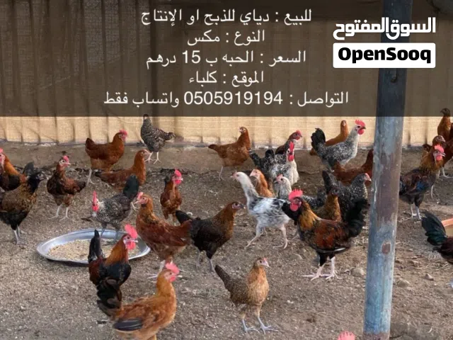 السلام عليكم ورحمة الله وبركاته