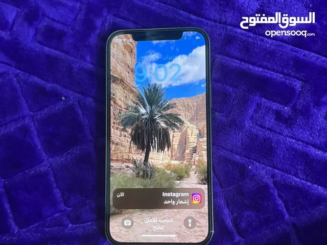 iPhone 12bro