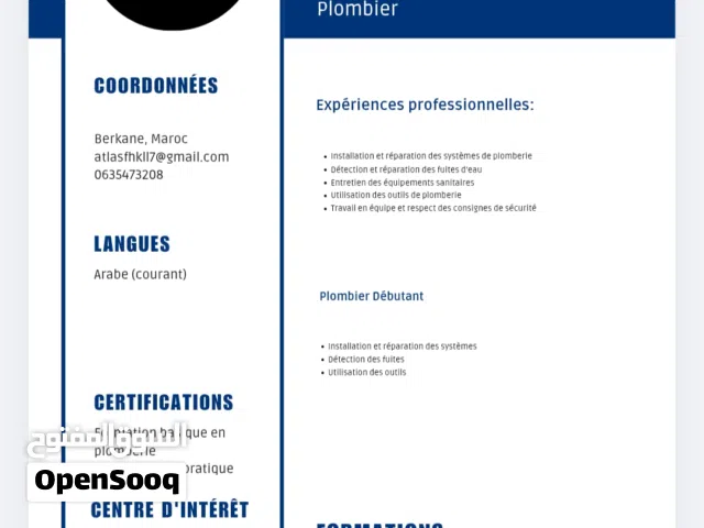 إنشاء CV احترافي + Lettre de motivation بثمن مناسب