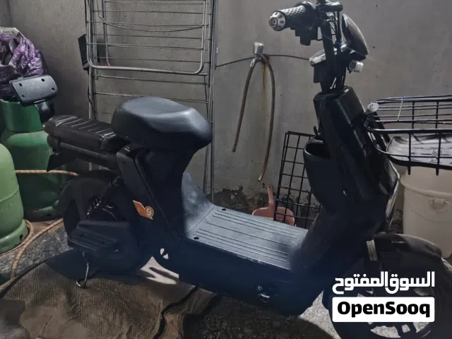2024 اخرى اخرى