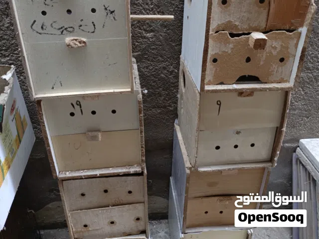 متاح بيوت تكاثر ابو الحاضنة مال طيور الحب