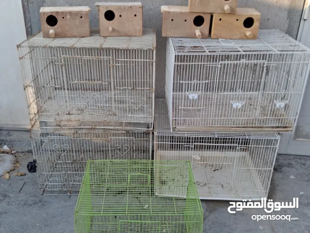 خمسه اقفاصه للبيع بقيمه 10 دينار مع محتوى المحاكر طيور الهند