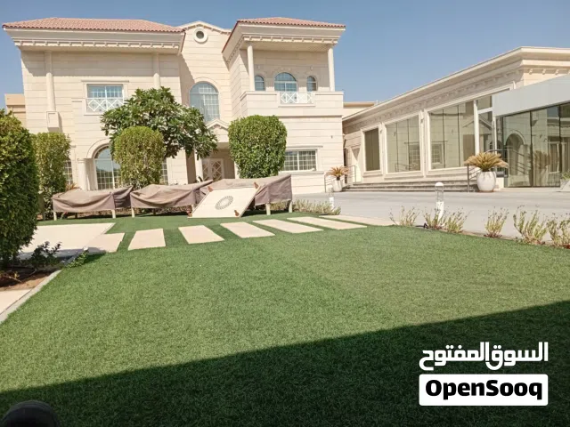 مو جود نطور مجيد الزراعه بأنواعها الزينه والخضروات والفاكهة مصري صعيدي