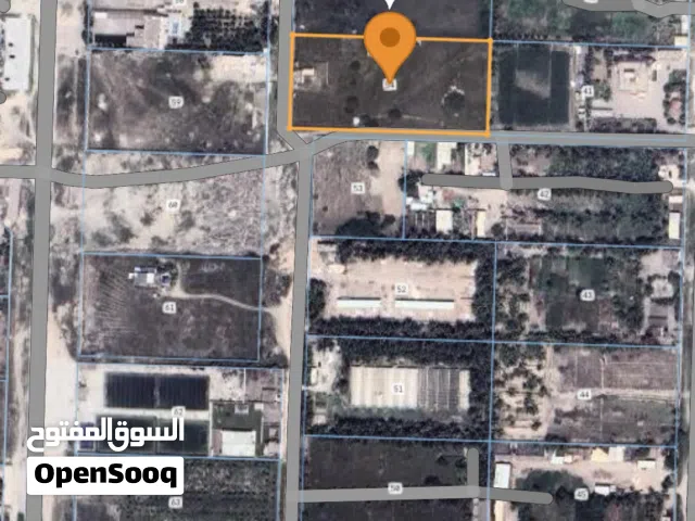 ارض زراعيه صلاله صحنوت 12700 متر موقع حلو ب380الف للشاري الجاد فقط