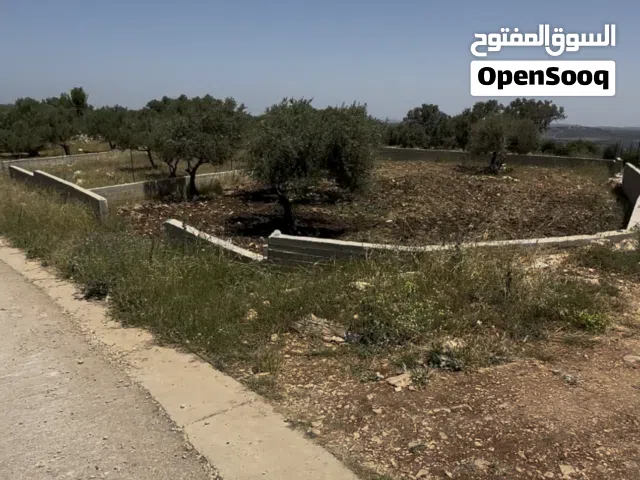 Residential Land for Sale in Jenin Meithalun