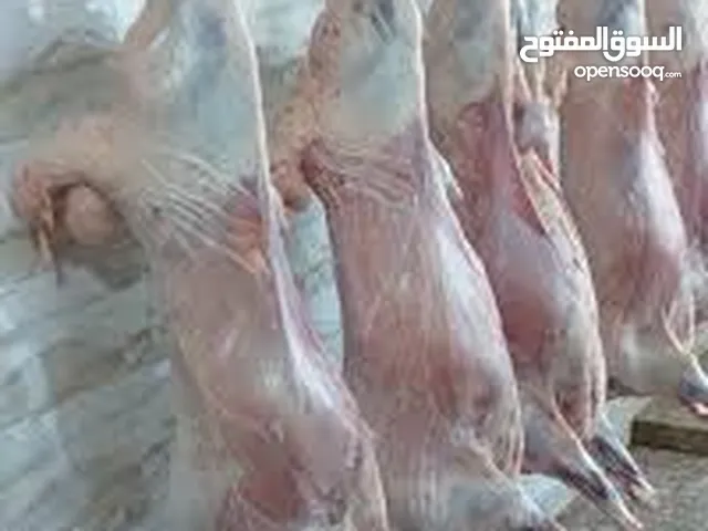 خدمة ذبح بعمان كافة ايام العيد