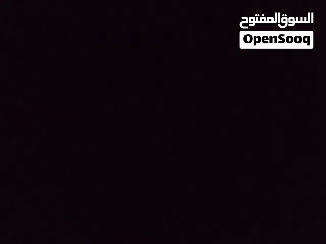 مطلوب كلب للتبني بعمر صغير مع حبلو وطوق تبعو للتواصل خاص وشكرا