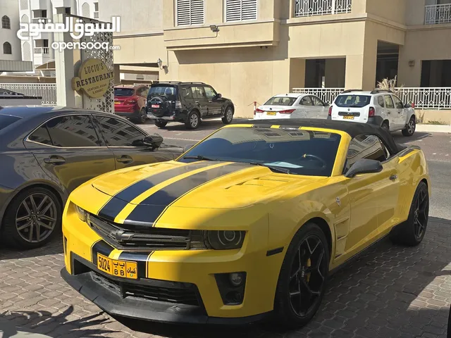 Used Chevrolet Camaro in Muscat