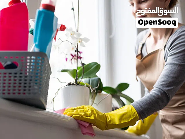 cleaning services