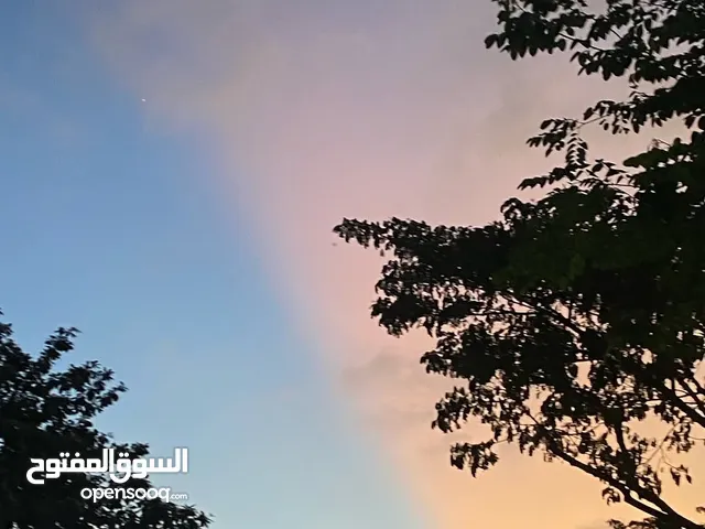 احمد عبدالله