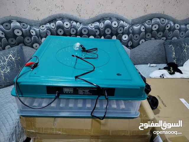 الفقاسة الصينية