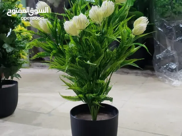 روز باتيلز