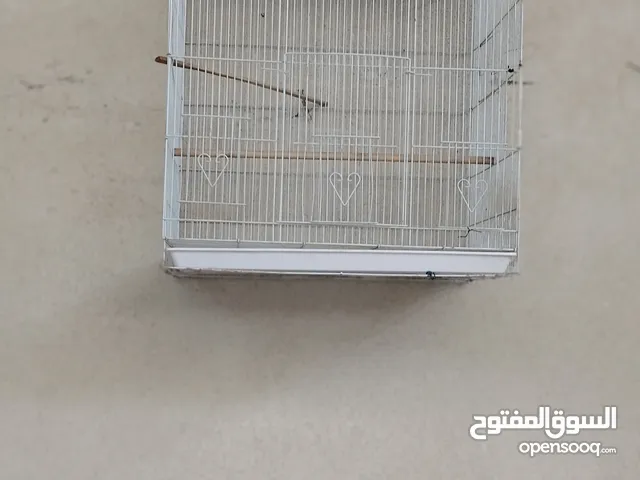 اقفاص طيور واحد خشبي واحد حديد
