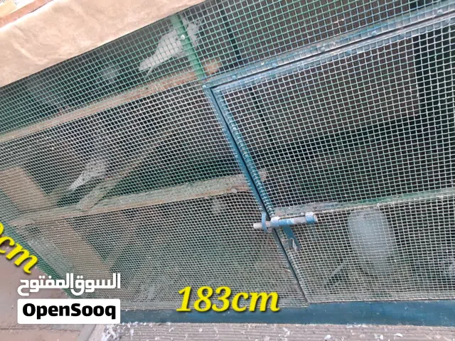 medium cages for sale