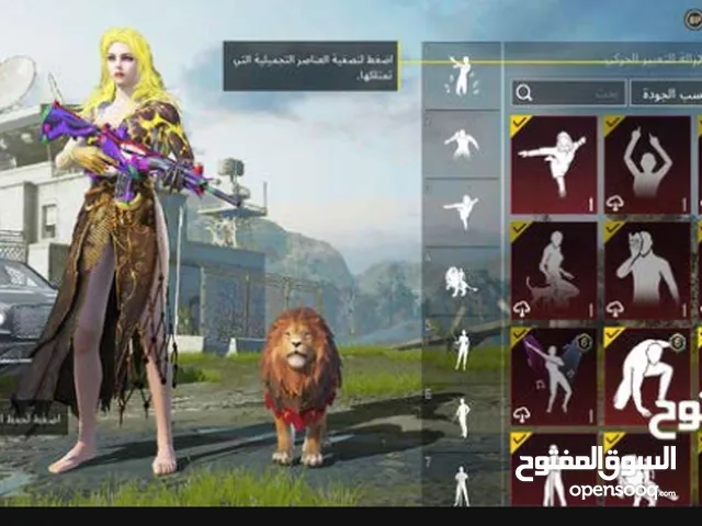 Pubg Accounts and Characters for Sale in Benghazi