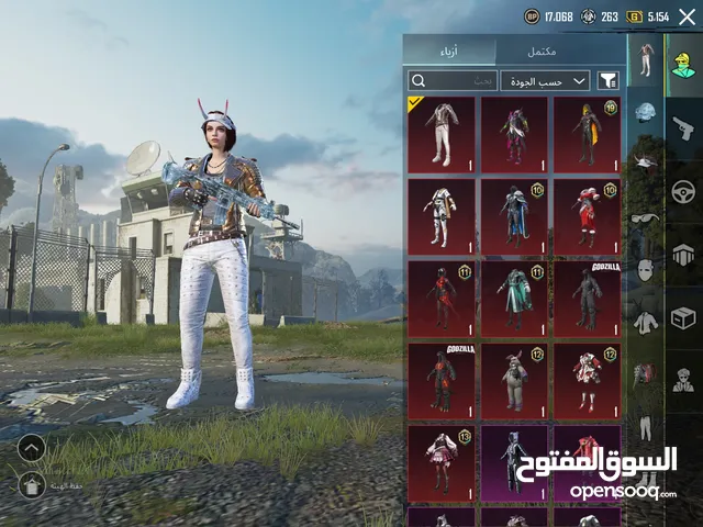 Pubg Accounts and Characters for Sale in Zarqa