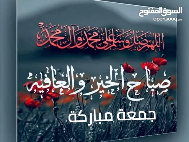 سخلة رضيع عشر دنانير