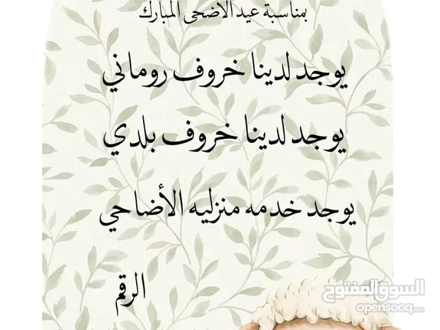 يوجد خدمت ذبح الضحي في منزلكم عجول خروف جدي