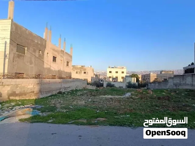 ارض للبيع في منطقة عين الباشا